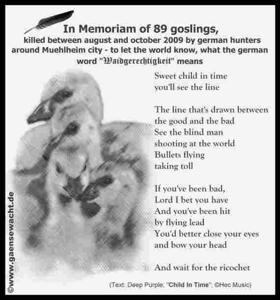 89goslings.jpg 89goslings.jpg