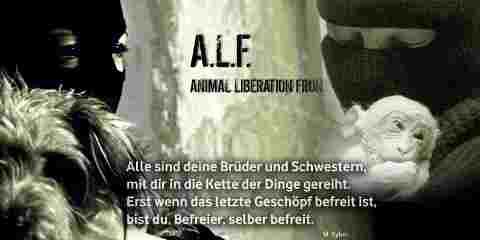 befreier.jpg befreier.jpg