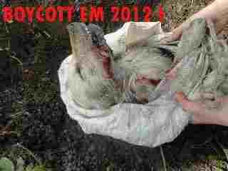 boycottem2012.jpg boycottem2012.jpg