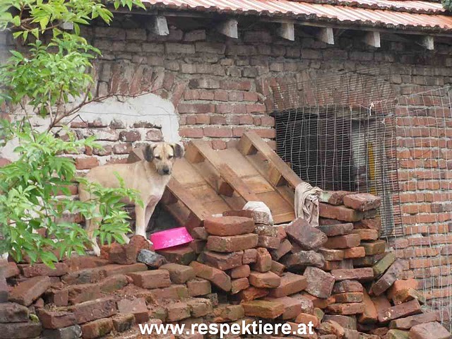 bulgarienrichi.jpg