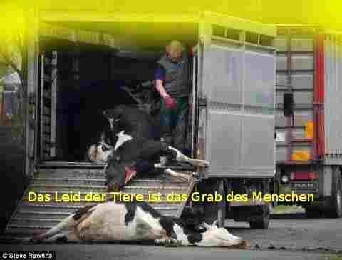 dasleiddertiere.jpg dasleiddertiere.jpg