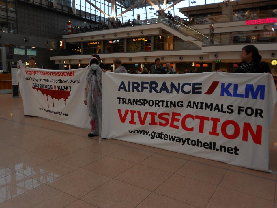 demoairfrance2.jpg demoairfrance2.jpg
