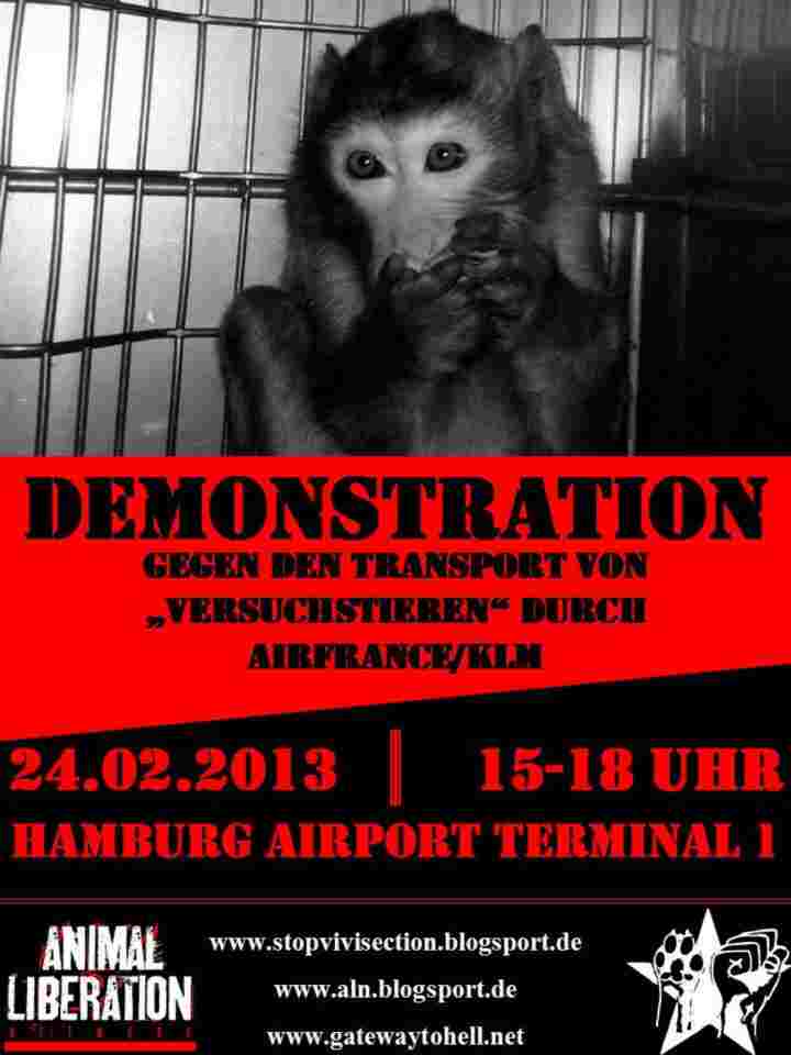 demohhflughafen.jpg demohhflughafen.jpg