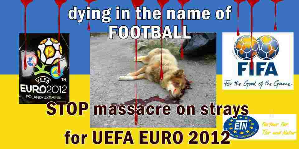 dieinginthenameoffootball.jpg