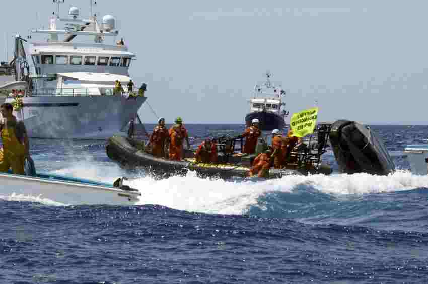 greenpeacethunfisch.jpg greenpeacethunfisch.jpg