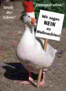 neinzuweihnachten.jpg