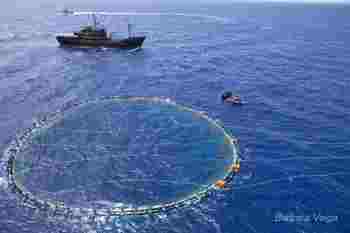 news10060912steveirwininvestigatesfishingboatsandtunafarmbv9542.jpg