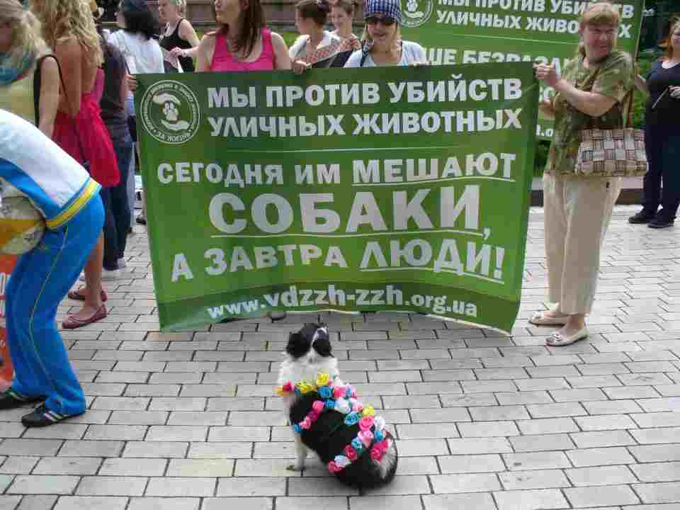 protest2ukraine9.6.12.jpg protest2ukraine9.6.12.jpg