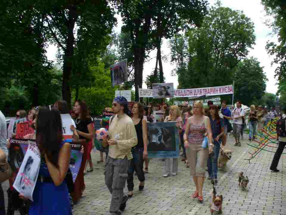 protest3ukraine9.6.12.jpg protest3ukraine9.6.12.jpg