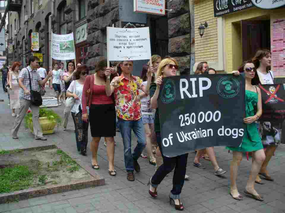 protest4ukraine9.6.12.jpg protest4ukraine9.6.12.jpg