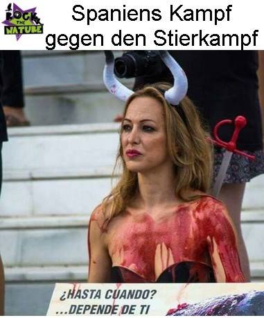 stier.jpg stier.jpg
