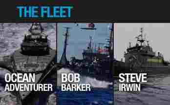 thefleet20102011.jpg thefleet20102011.jpg