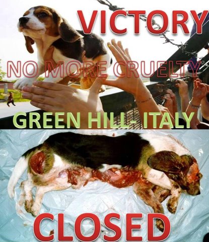 versuchslaborgreenhillgeschlossen.jpg versuchslaborgreenhillgeschlossen.jpg