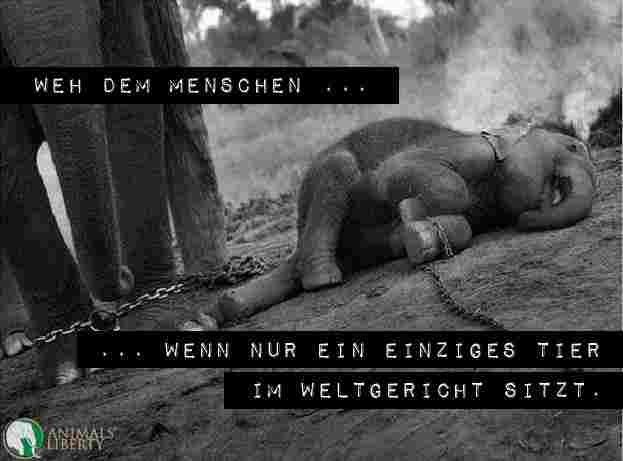 wehdemmenschen.jpg wehdemmenschen.jpg